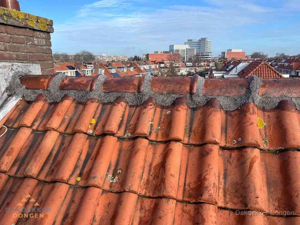 Dongen Daken Renoveren Dongen Daken Renoveren